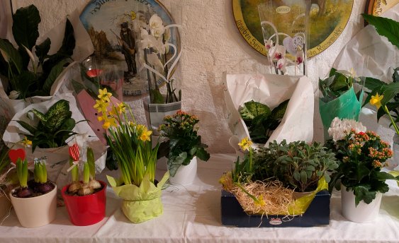 Blumenschießen 2025 Blumenschießen 2025