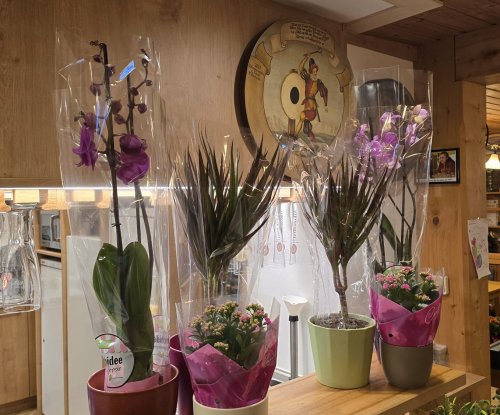 Blumenschie�en 2026